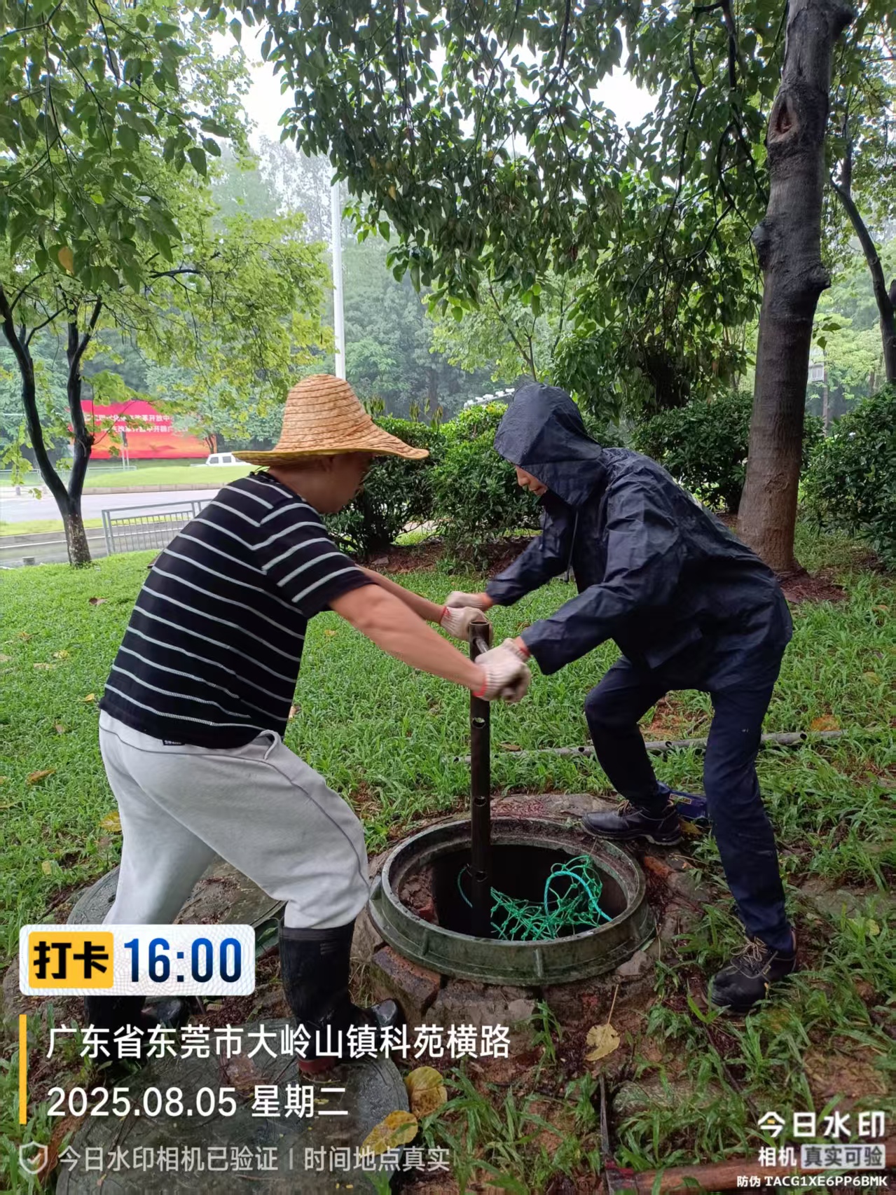 87d970c48f1eb64a6c9f1fc4e5a9250.jpg 87d970c48f1eb64a6c9f1fc4e5a9250.jpg