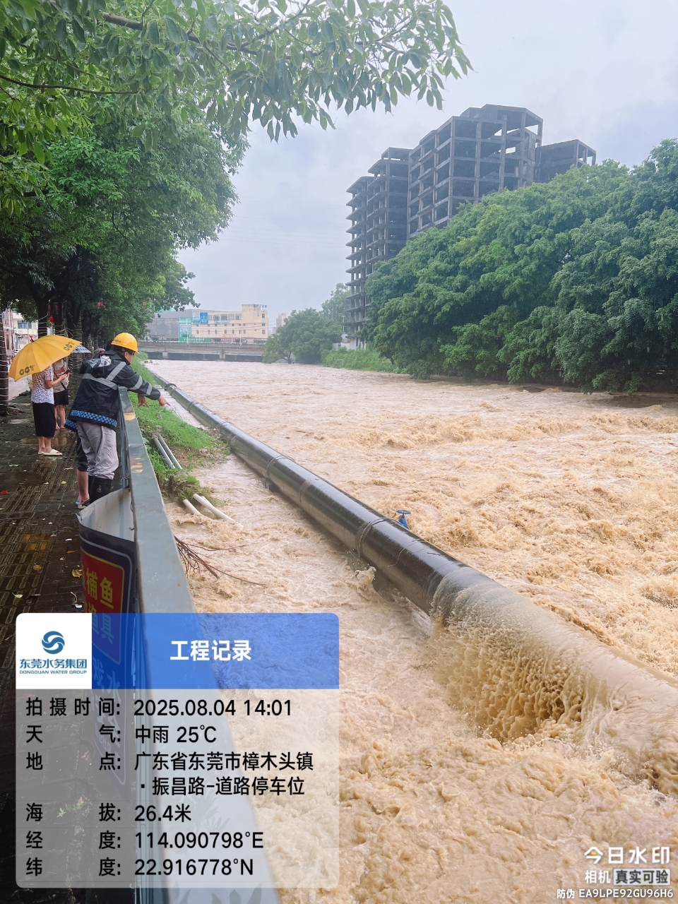 微信圖片_20250806163325_6.jpg 微信圖片_20250806163325_6.jpg